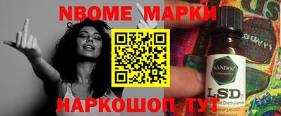 индика Новозыбков
