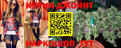 индика Новозыбков