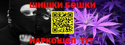 индика Новозыбков