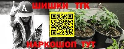 индика Новозыбков