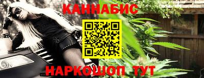 индика Новозыбков