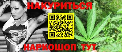 индика Новозыбков