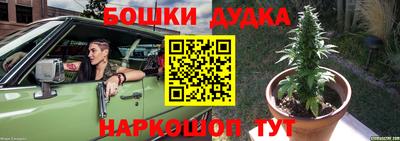 индика Новозыбков