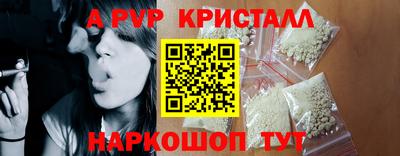 индика Новозыбков